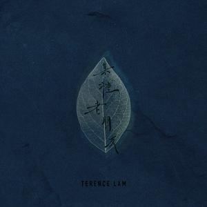 温柔的遗孀希岛爱理
